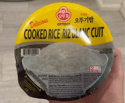 Cooked Rice Bowl - White Rice (Pack of 3)
