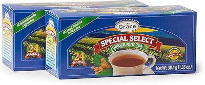 Grace Special Select Ginger & Mint Tea Bags 1.34oz - 2 Pack - All Natural Herbal Tea & Caffeine Free - Herbal Tea Bags - 48 Count
